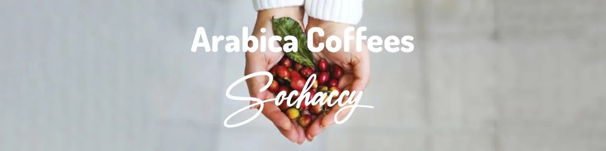 100% káva Arabica|Sochaccy.Cz| Největší výběr čerstvě pražené kávy v Polsku!